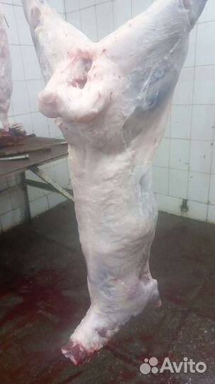 Мясо халяль, говядина, баранина