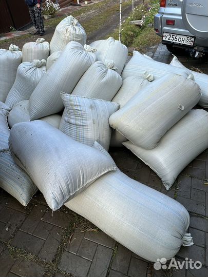 Зерноотходы пшеницы