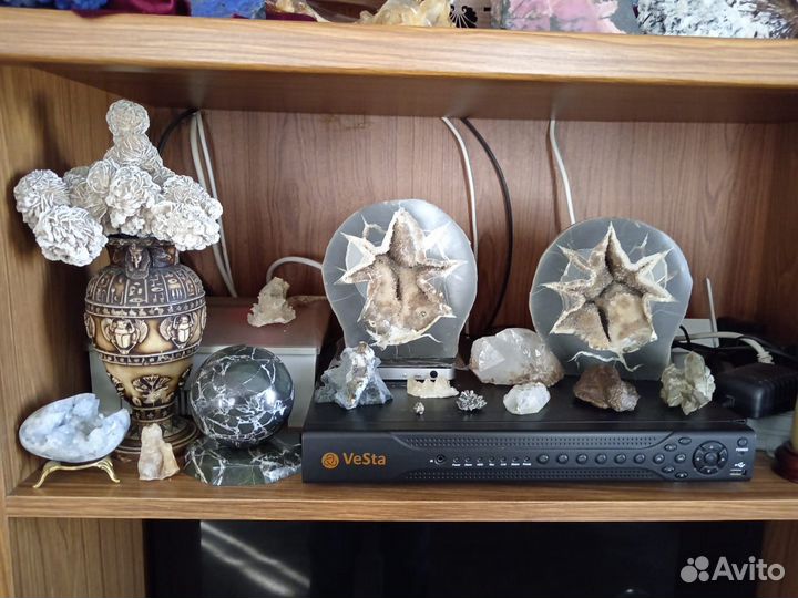 Септарии. Аммониты. Окаменелости. Минералы. Жеоды