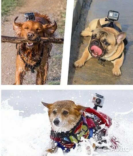 Крепление экшн камеры для собаки