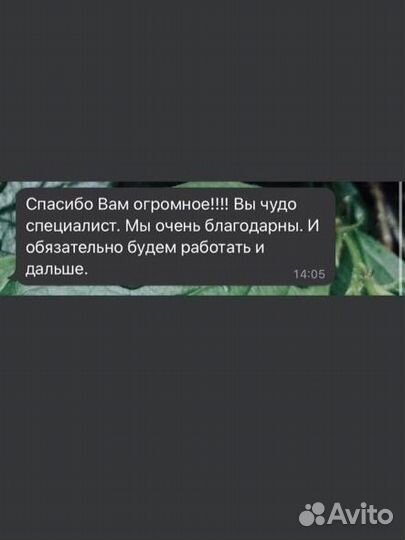 Логопед/Логопед-дефектолог