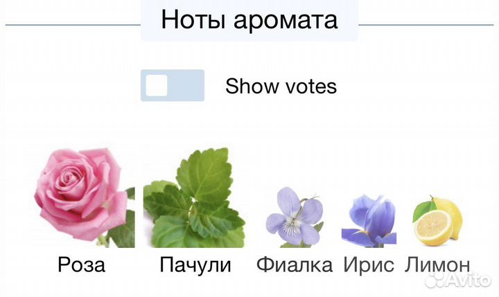 Hermetica patchoulight edp