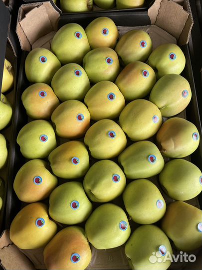 Яблоки опт доставка