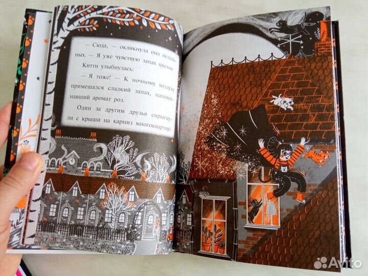 Пола Харриссон, Китти