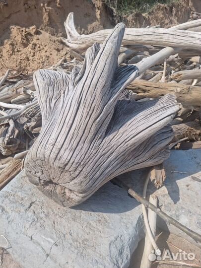 Продам дубовую карягу