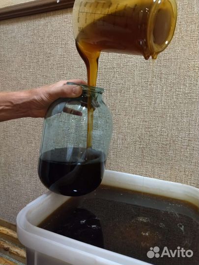 Мед гречишный