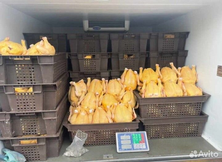 Куры кабардинские халяльные. Доставка