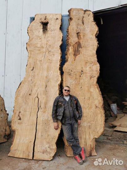 Слэбы из дерева бук, граб, карагач
