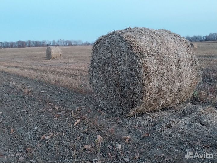 Продам соевую солому