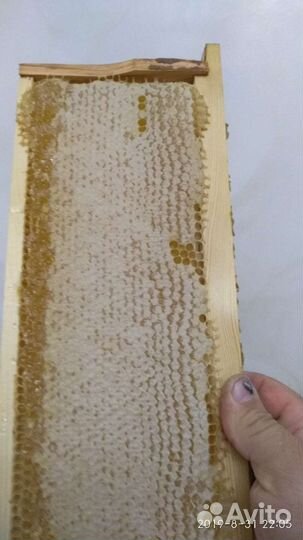 Мед натуральный