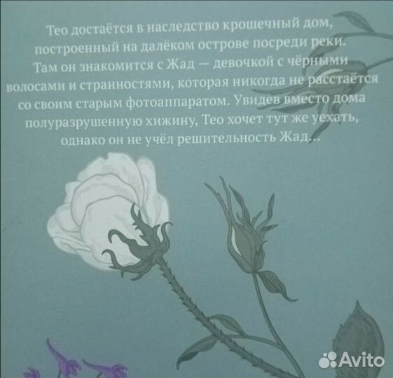 Книги для подростков (12+/16+)