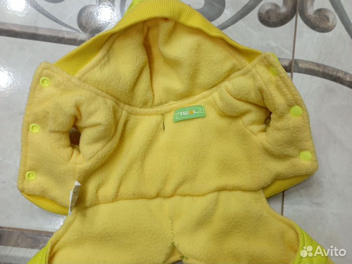 Одежда для той терьера