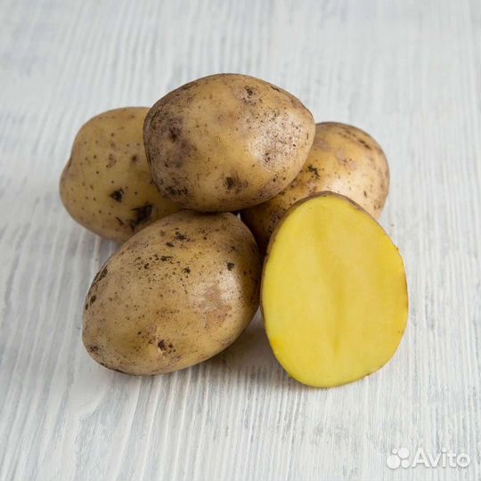 Картофель домашний, картошка