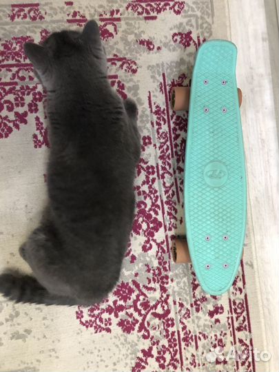 Скейтборд детский