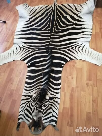 Шкура зебры