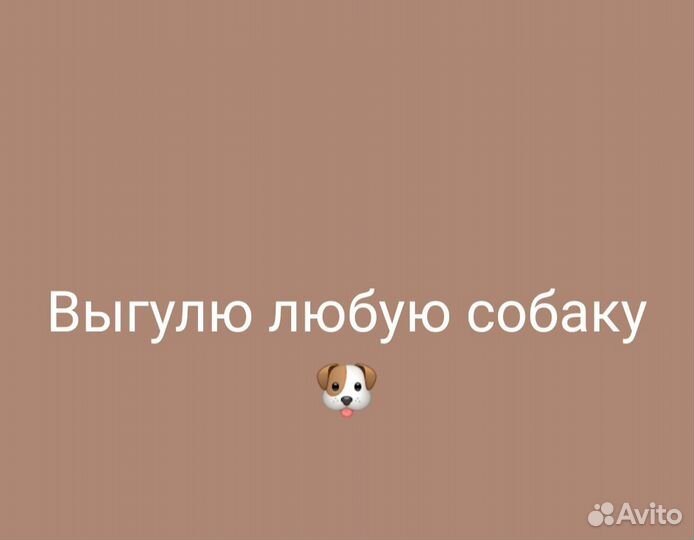 От Пушкина до нового Пушкина новая деревня