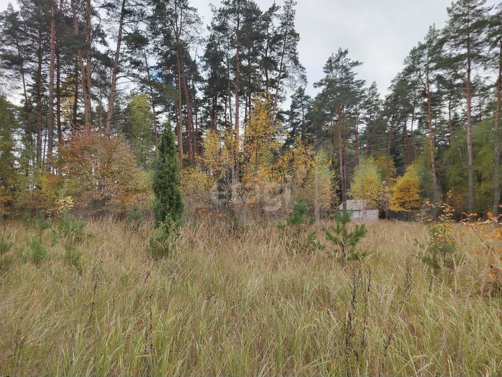 Участок 11 сот. (личное подсобное хозяйство (лпх))