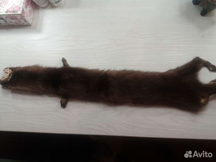 Шкурка норки