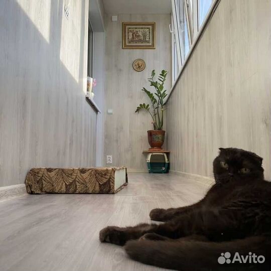 Балконы и лоджии под ключ. Балконщик от бога