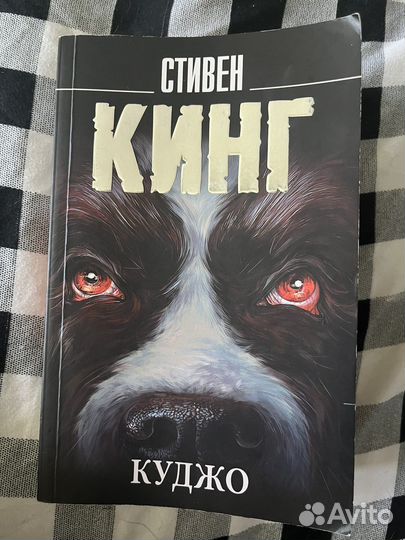 Стивен Кинг Куджо книга