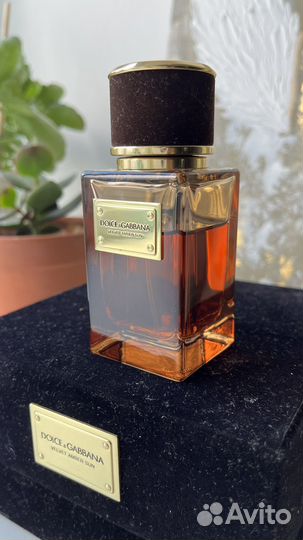 Духи dolce gabbana velevet amber sun