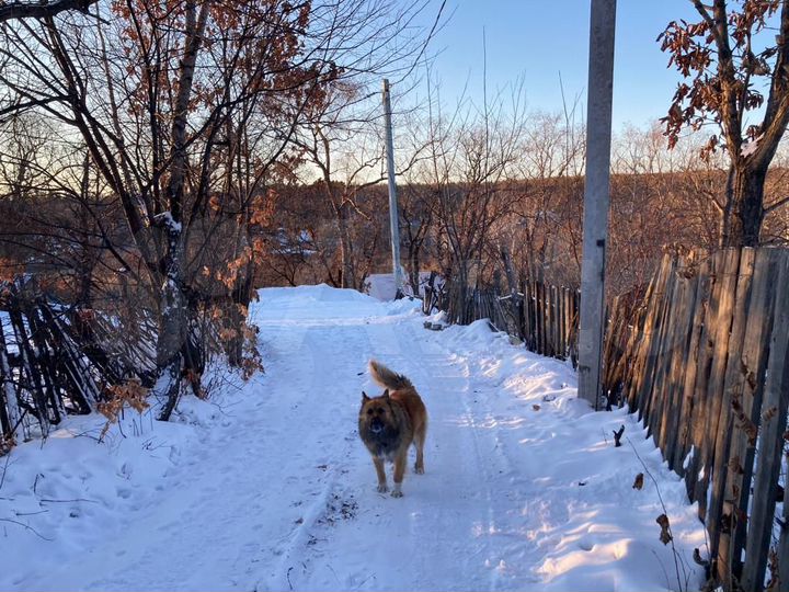 Участок 6,4 сот. (СНТ, ДНП)