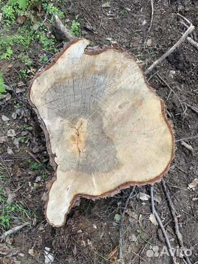 Спилы и слэбы дерева