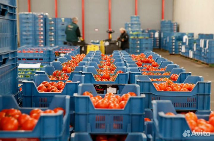 540'000 в год. Ищу партнера в готовый бизнес