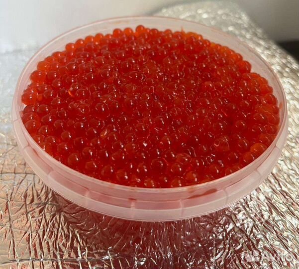 Красная Икра 2023