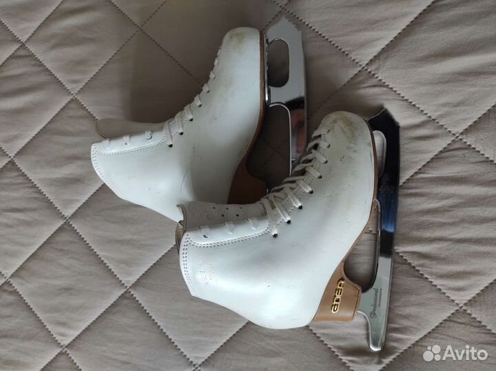 Профессиональные коньки Edea chorus 205