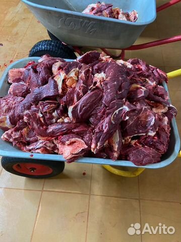 Мясо говядина для собак. Мясо без кости объявление продам