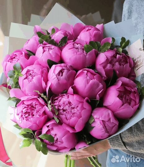 Пионы Цветы букеты розы сургут