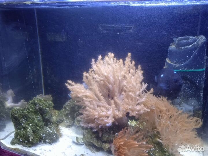 Аквариум 70 литров