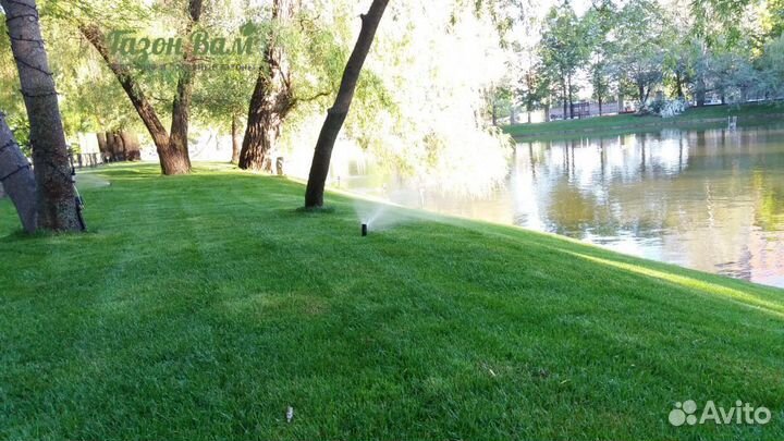 Газон рулонный делюкс