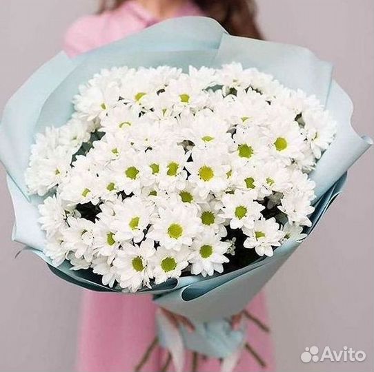 Хризантема Букет хризантем Доставка