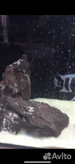 Камни для аквариума