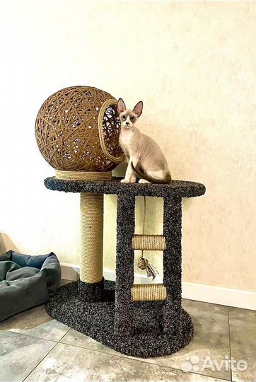 Когтеточка домик для кошек