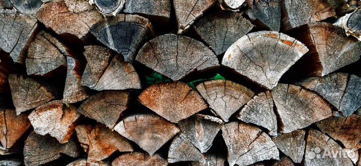 Кора березы