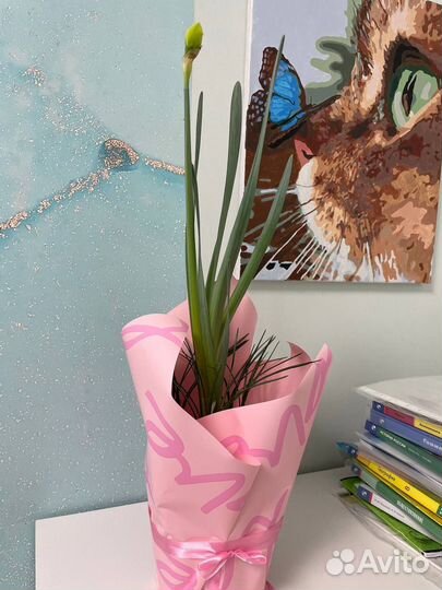 Композиции из первоцветов