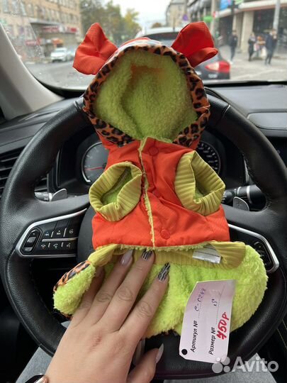 Одежда для собак