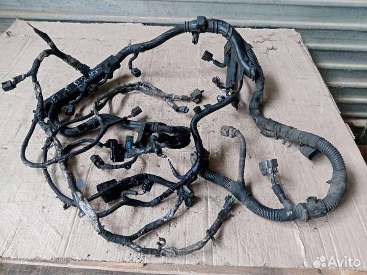 Проводка двигателя ford transit 2.2 евра 4