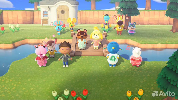 Animal Crossing New Horizons Nintendo Switch