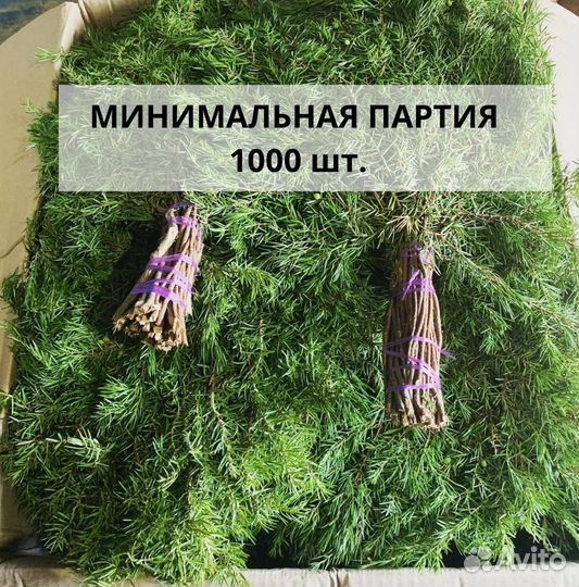 Веники пихтовые от производителя