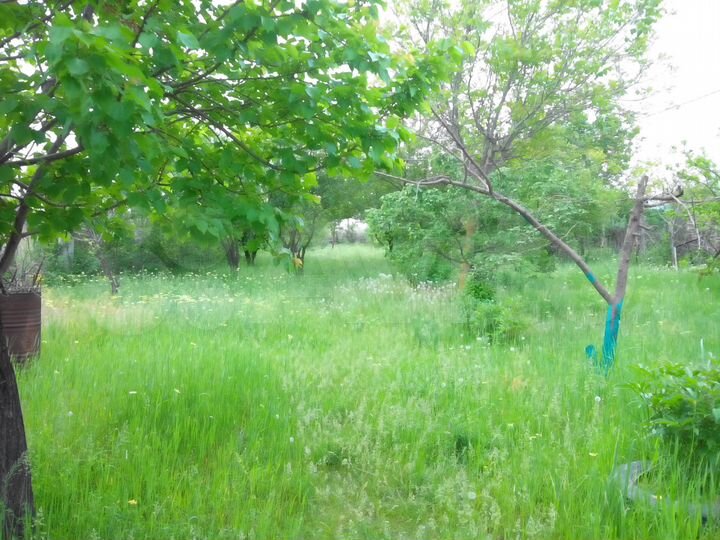 Участок 16 сот. (ИЖС)