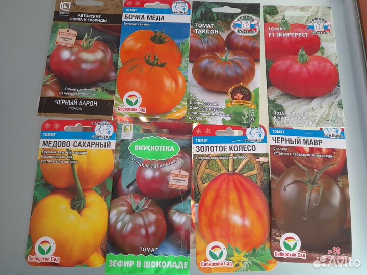 Рассада томатов