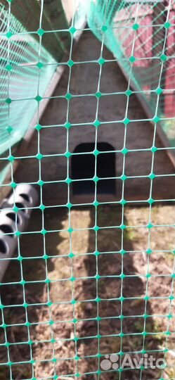 Дом для птицы