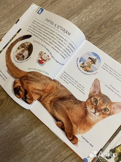 Детские книги первая энциклопедия