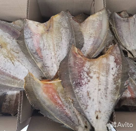Ерш вяленый. Камбала-ерш Мурманск