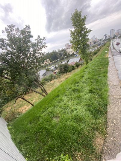 Участок 12 сот. (ИЖС)