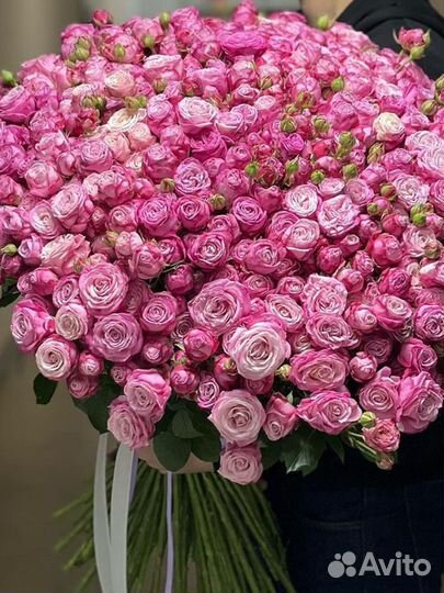 Кустовые розы / Пионовидные розы / 21, 31, 51